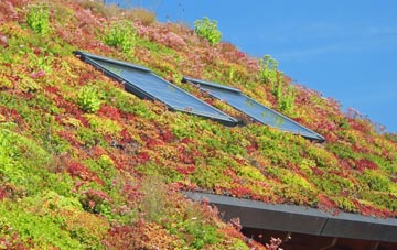 Clermiston living roof systems